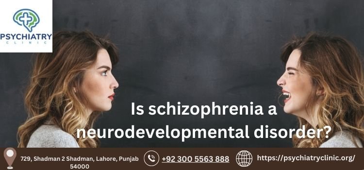 Is schizophrenia a neurodevelopmental disorder? Comprehensive Guide